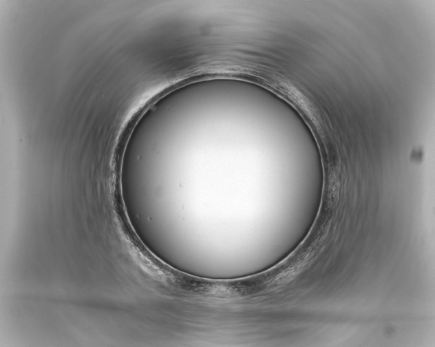 X0000093570787200710291039