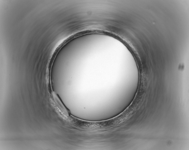 X0000093570791200710291039