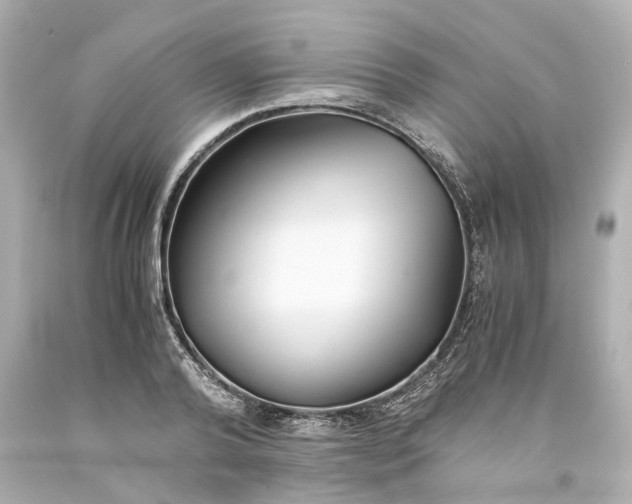 X0000093570792200710291039