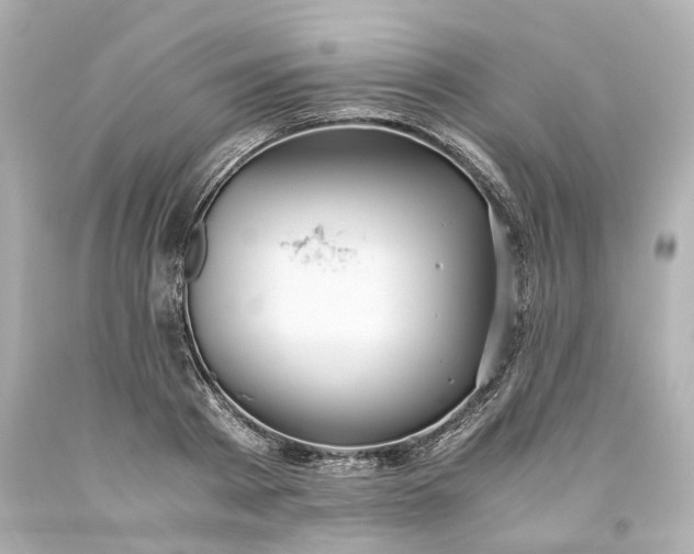 X0000093570793200710291039