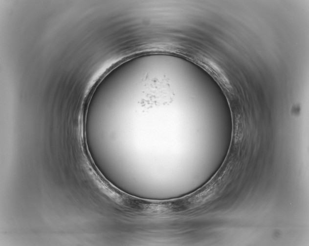 X0000093570796200710291039