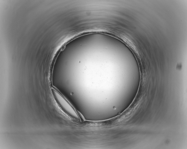 X0000093570797200710291039