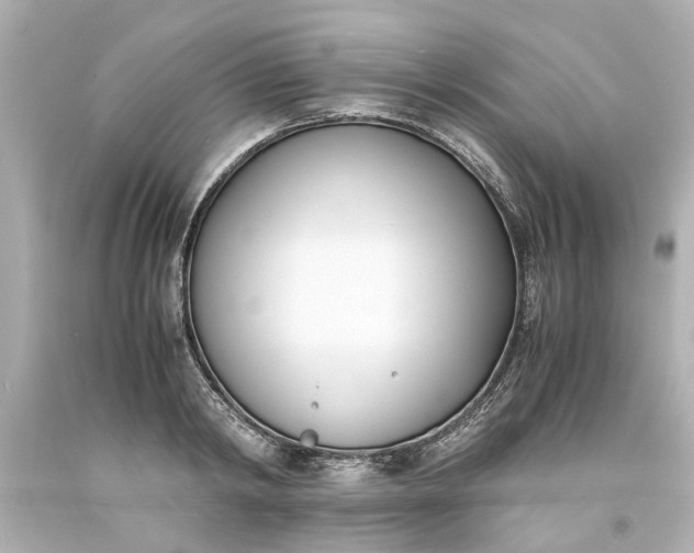 X0000093570798200710291039