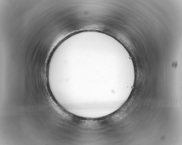 X0000093570800200710291039