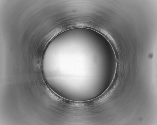X0000093570801200710291039