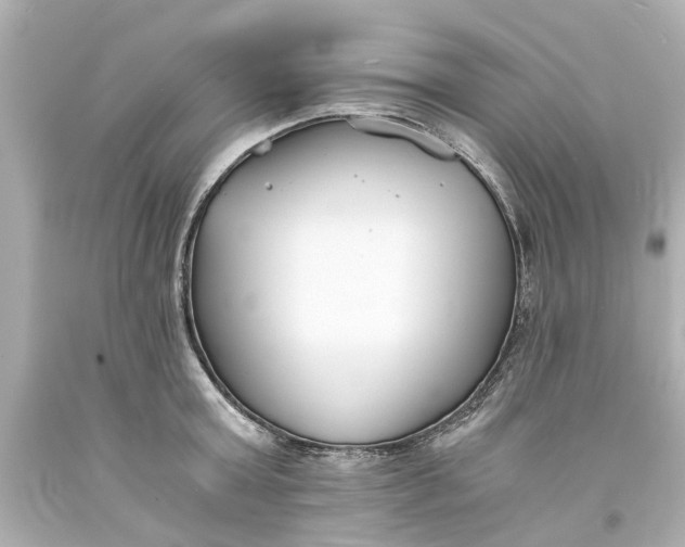 X0000093570803200710291039