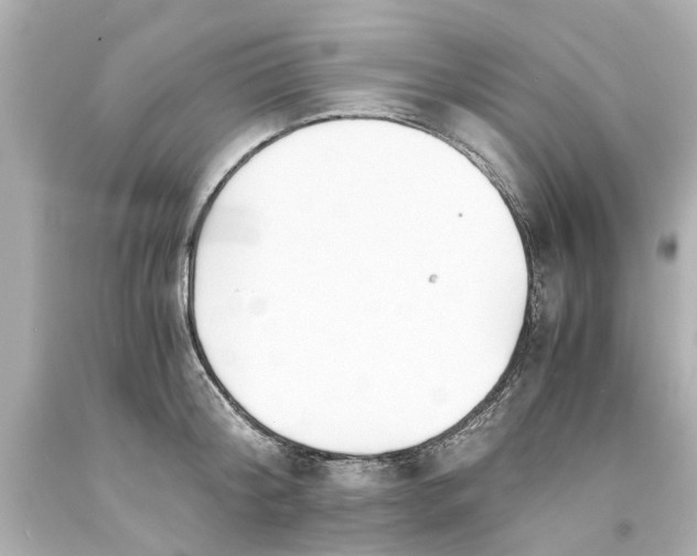 X0000093570804200710291039
