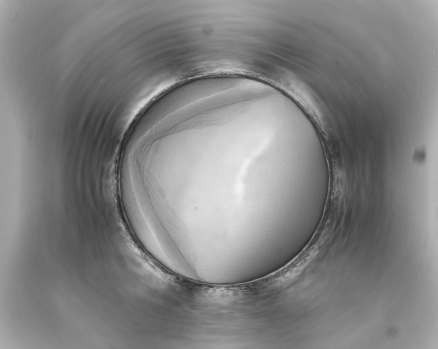 X0000093570806200710291039