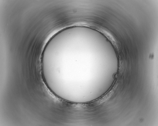 X0000093570808200710291039