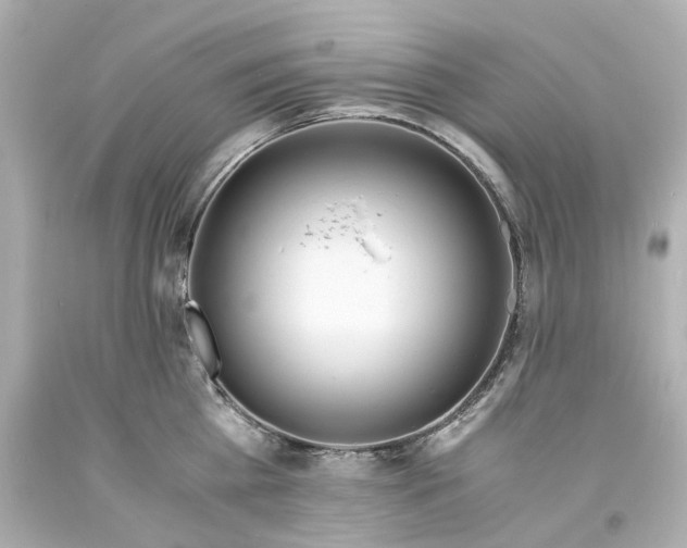 X0000093570809200710291039