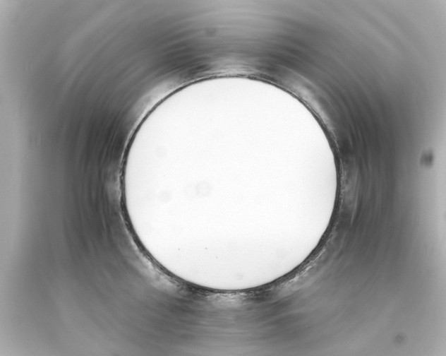 X0000093570810200710291039