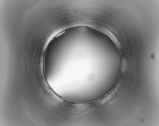 X0000093570812200710291039