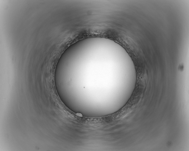 X0000093570817200710291038