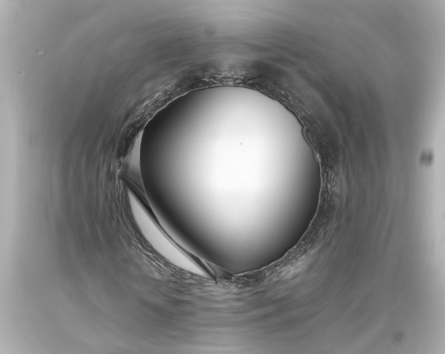 X0000093570818200710291038