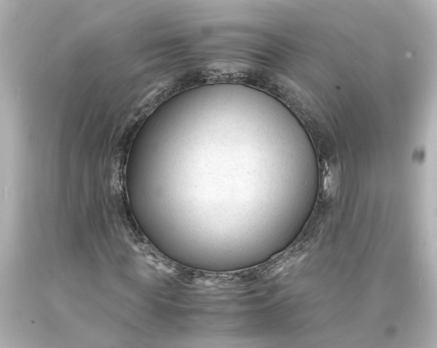 X0000093570819200710291038