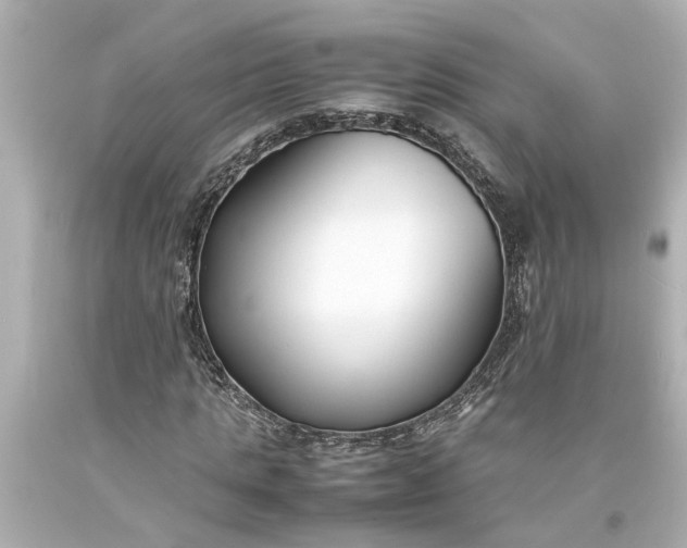 X0000093570821200710291038
