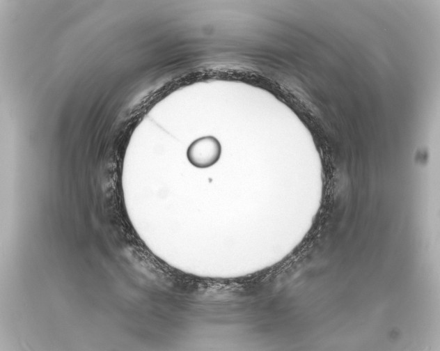X0000093570824200710291038
