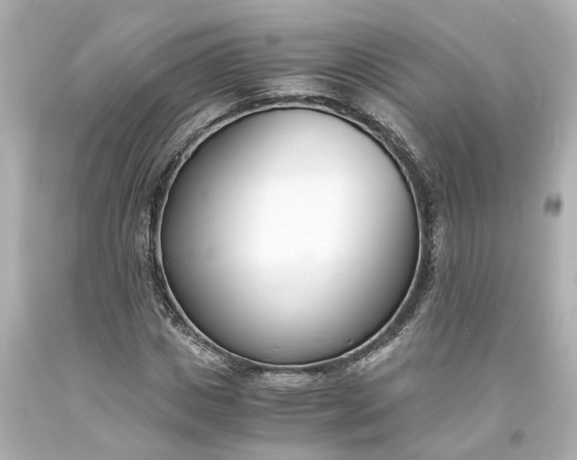 X0000093570825200710291038