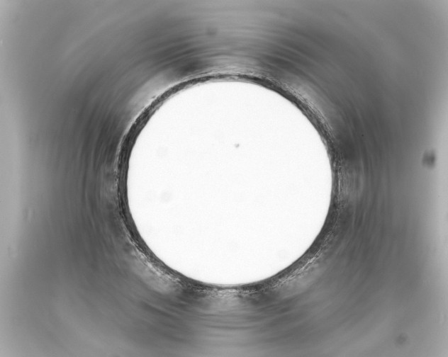 X0000093570828200710291038