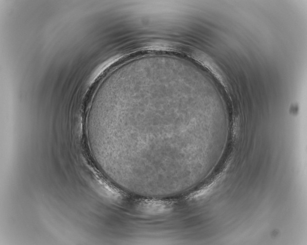 X0000093570829200710291038