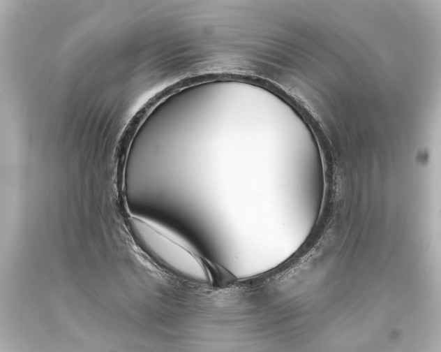 X0000093570830200710291038