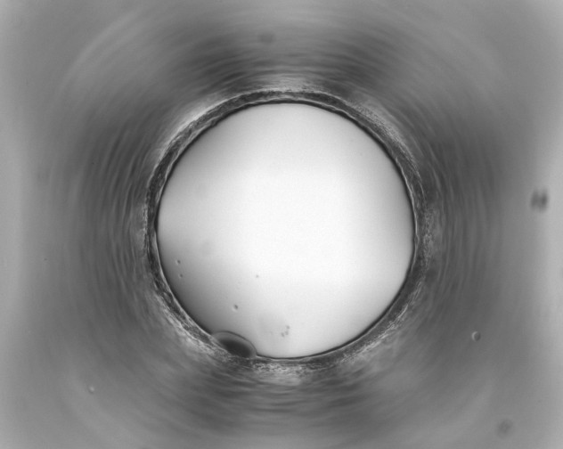 X0000093570831200710291038