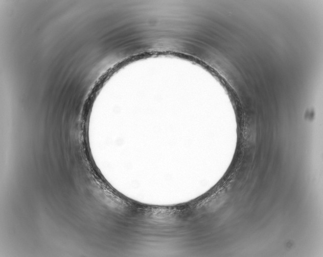 X0000093570832200710291038