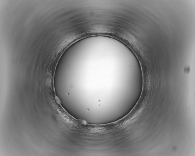 X0000093570833200710291038