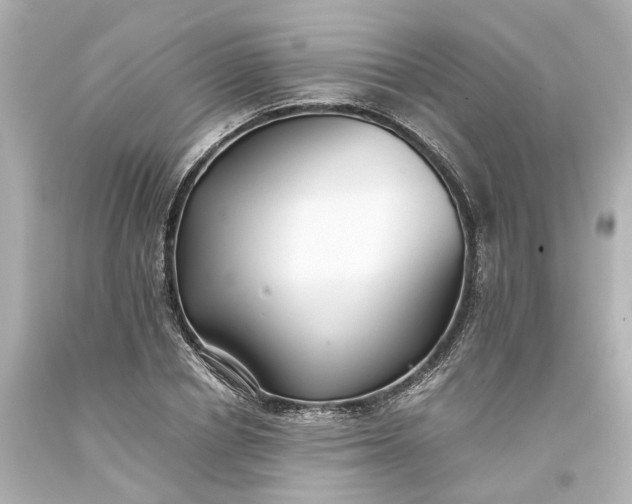 X0000093570834200710291038