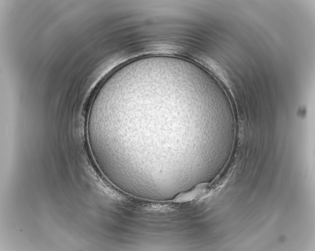 X0000093570835200710291038