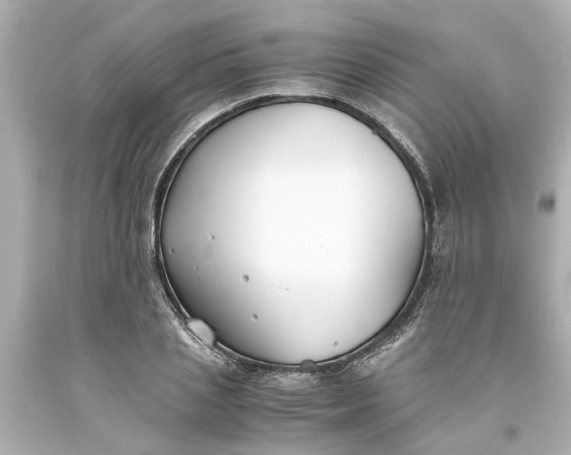 X0000093570837200710291038