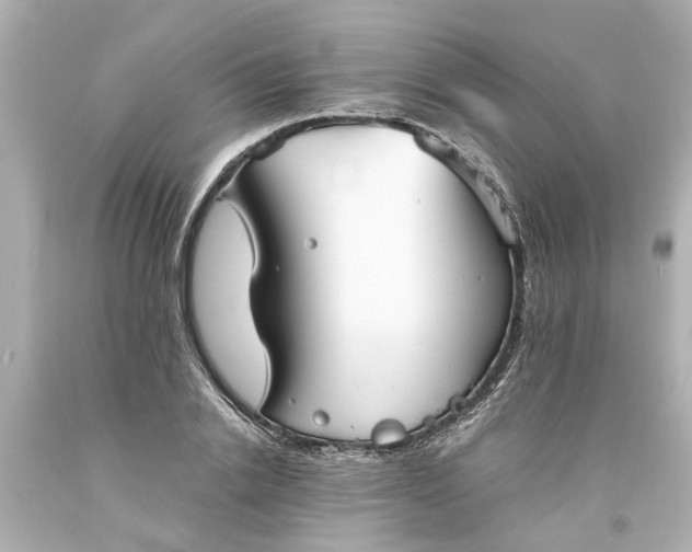 X0000093570838200710291038