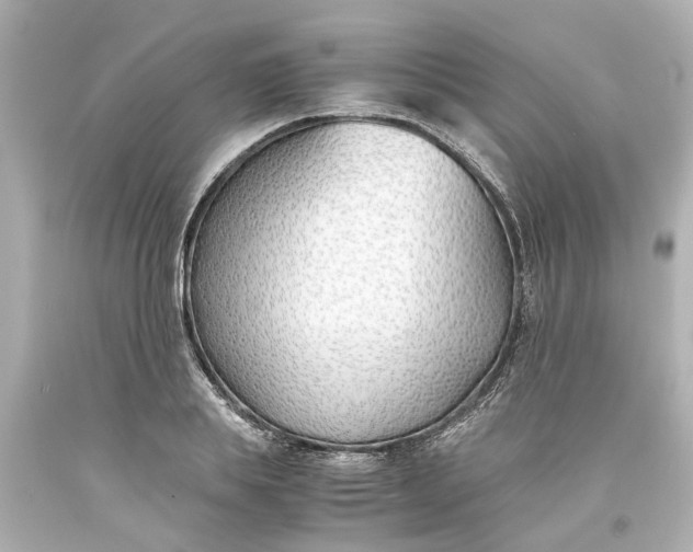 X0000093570839200710291038