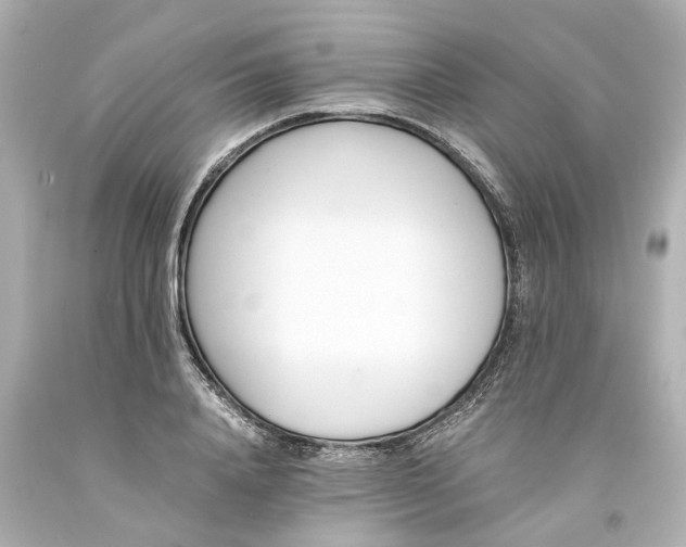 X0000093570840200710291038