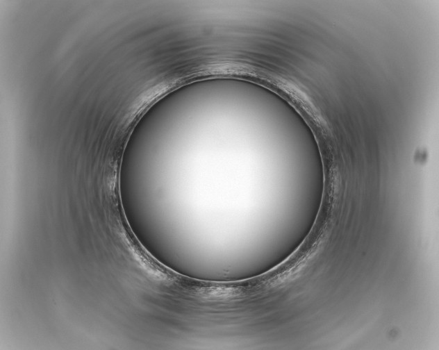 X0000093570841200710291038