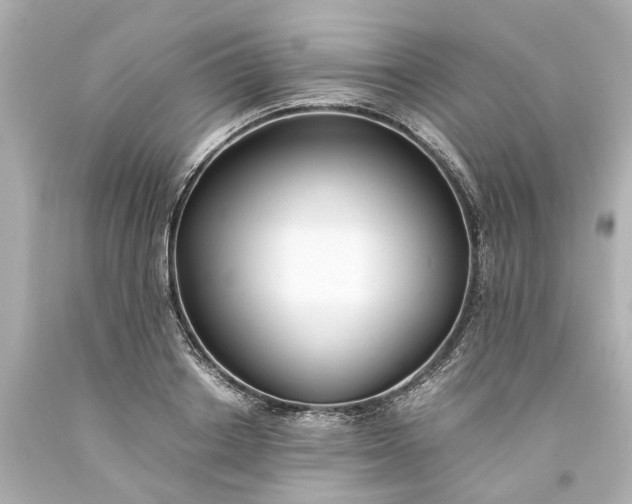 X0000093570842200710291038