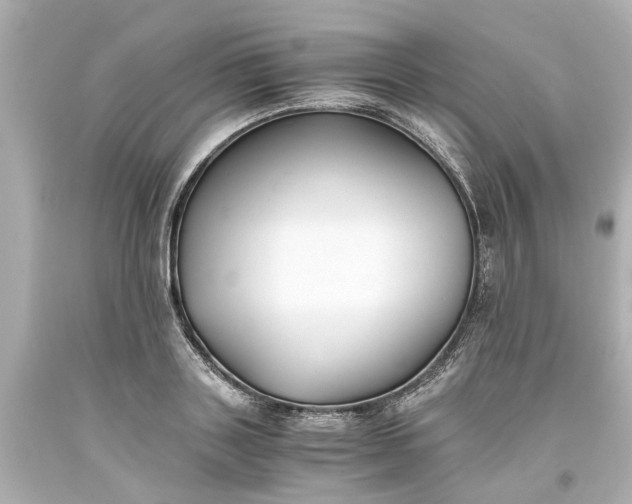 X0000093570843200710291038