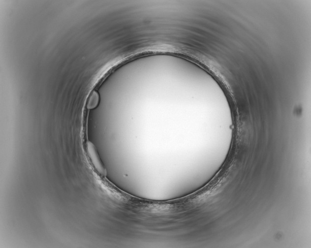 X0000093570845200710291038