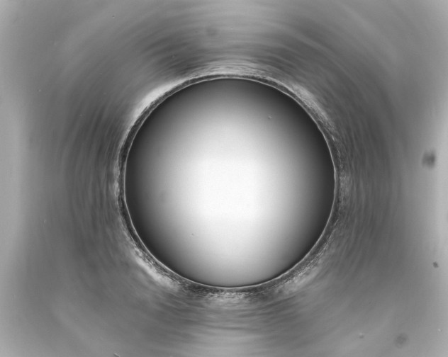 X0000093570846200710291038