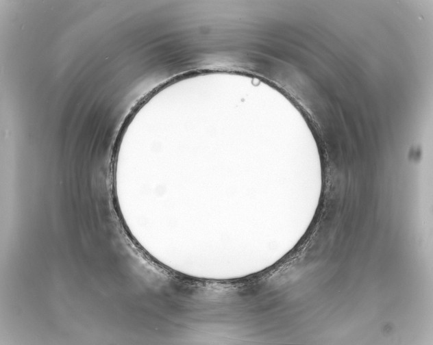 X0000093570848200710291038