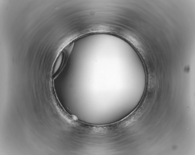 X0000093570850200710291038