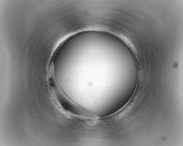 X0000093570854200710291038