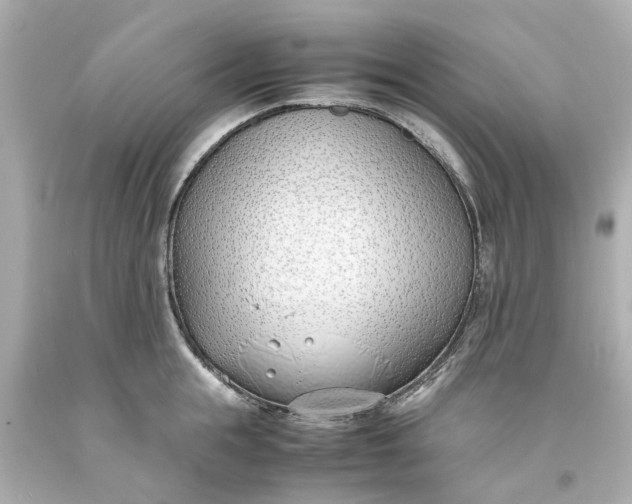 X0000093570855200710291038