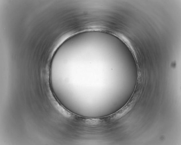 X0000093570859200710291038