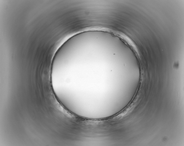 X0000093570860200710291038
