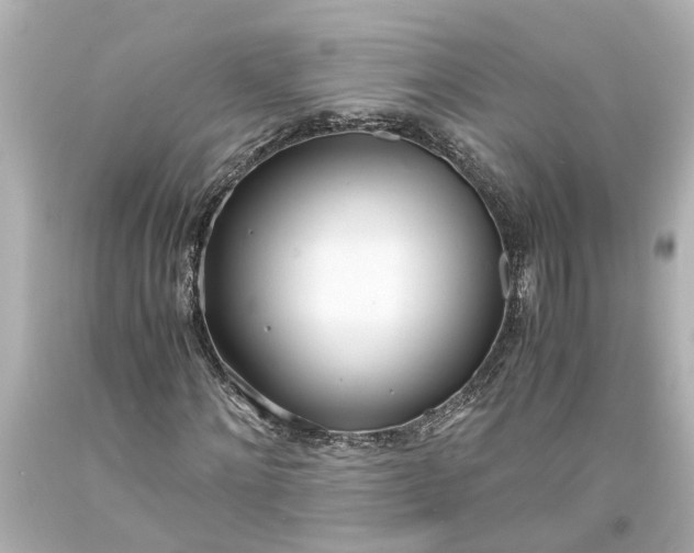 X0000093570868200710291038