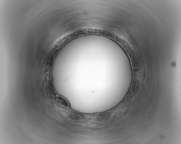 X0000093570870200710291038