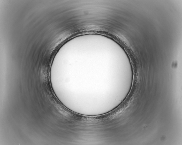 X0000093570873200710291038