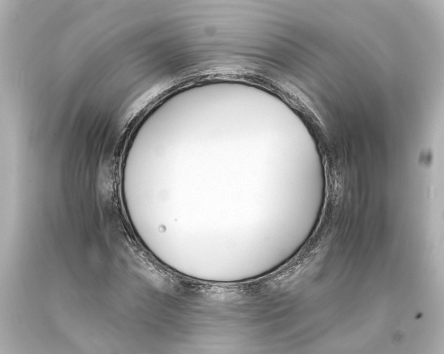 X0000093570874200710291038