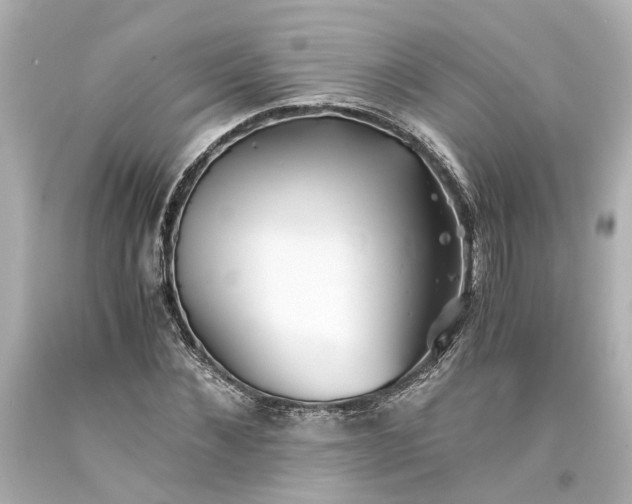 X0000093570876200710291038